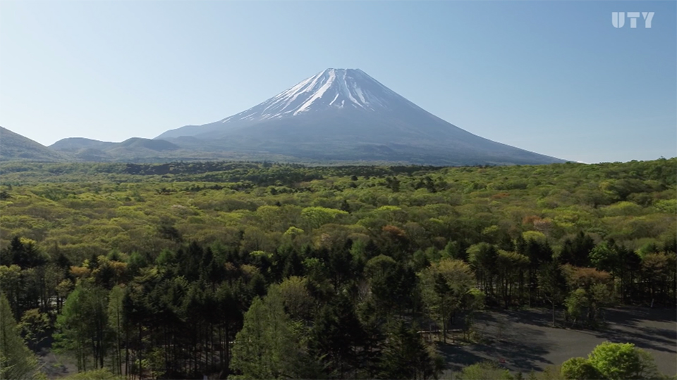 やまなしドローン紀行 #6 富士本栖湖リゾート（富士河口湖町）