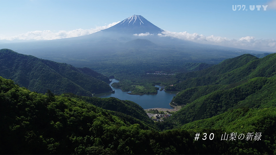 やまなしドローン紀行 #30 山梨の新緑